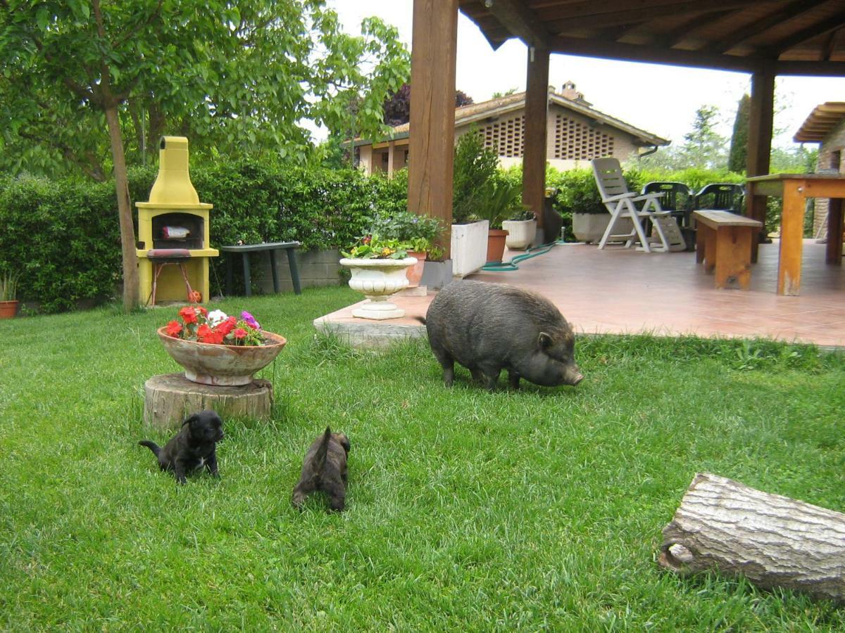 Hotel IL Poggio Pontedera Esterno foto